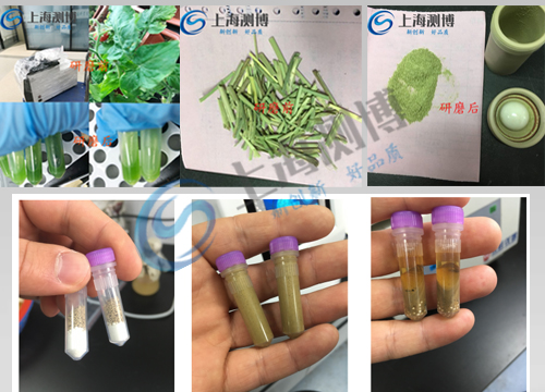樣品前處理設備12