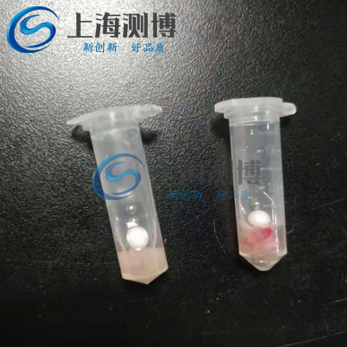 研磨破碎動物內(nèi)臟組織實(shí)驗(yàn)全過程