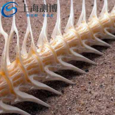 魚(yú)骨能用冷凍組織研磨儀研磨提取微量元素嗎？